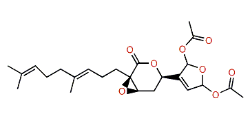 Thuridillin A